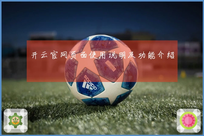 开云官网页面使用说明及功能介绍